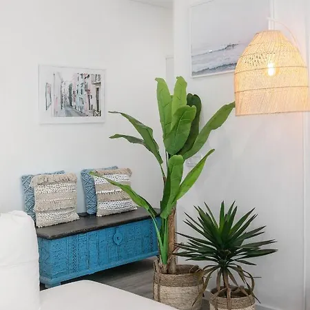 Consolacao & Supertubos - House Ii アパート