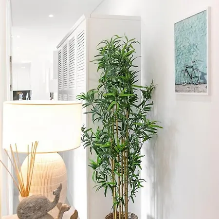 Apartment Consolacao & Supertubos - House Ii *