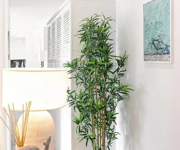 Apartment Consolacao & Supertubos - House Ii *